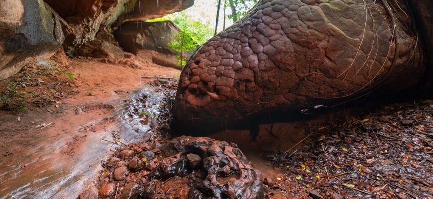 Visit Naka Cave, A Famous Snake-Like Cave In Thailand