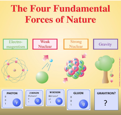 Curioustem - The Four Fundamental Forces