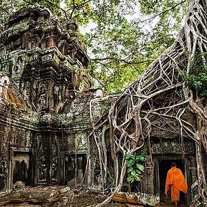 Wat Thmey (Killing Fields) - All You Need To Know Before You Go (With  Photos)