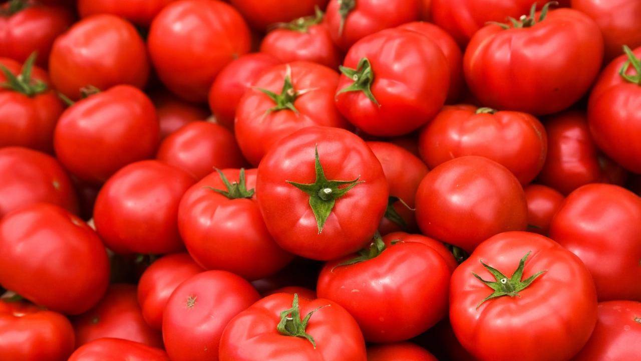 13 Things You Didn'T Know About Tomatoes