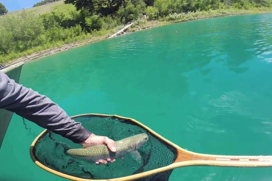 Fly Fishing Crater Lake B.C - Youtube