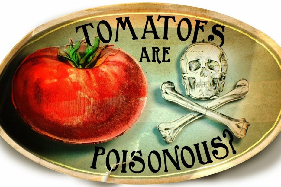 Tomatoes Are Poisonous? 5 Deliciously Weird Facts About Tomatoes - Youtube