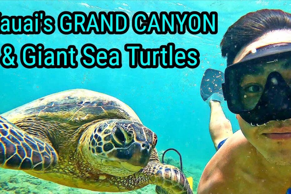 Kauai'S Grand Canyon & Sea Turtle Beach!🏜🐢🏝 - Youtube