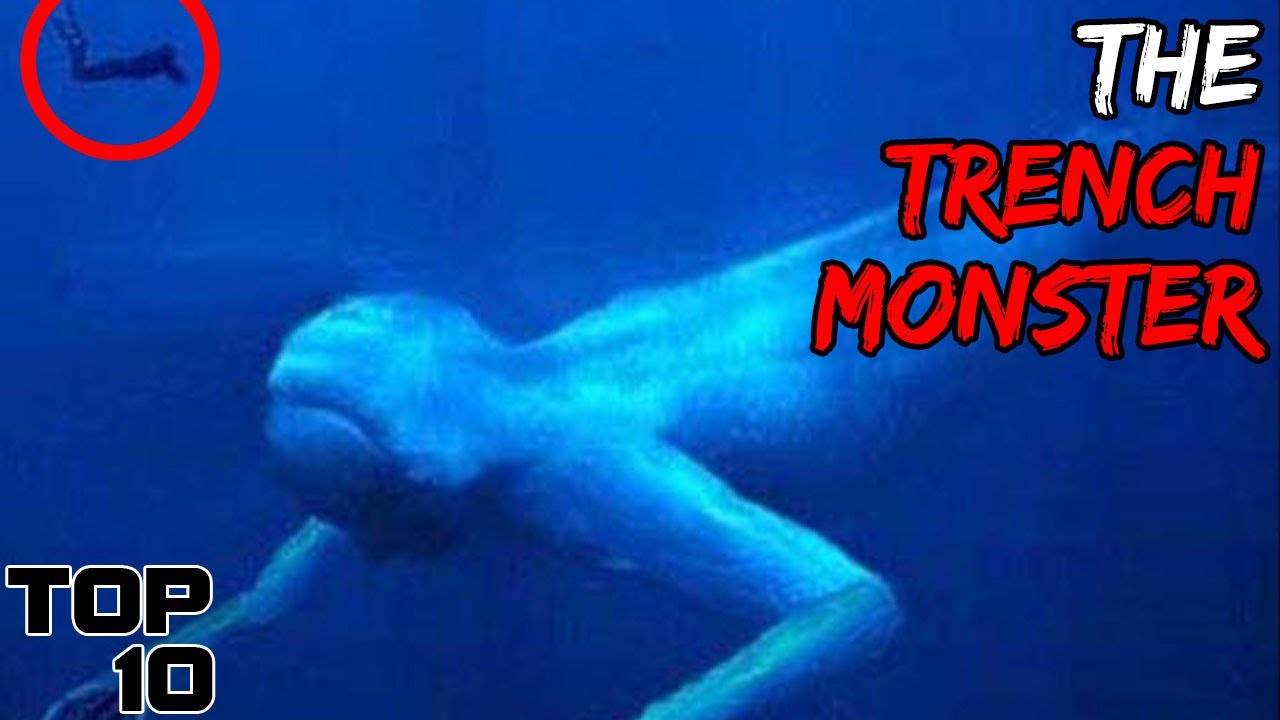 Top 10 Sea Creatures Found In The Marianas Trench - Youtube