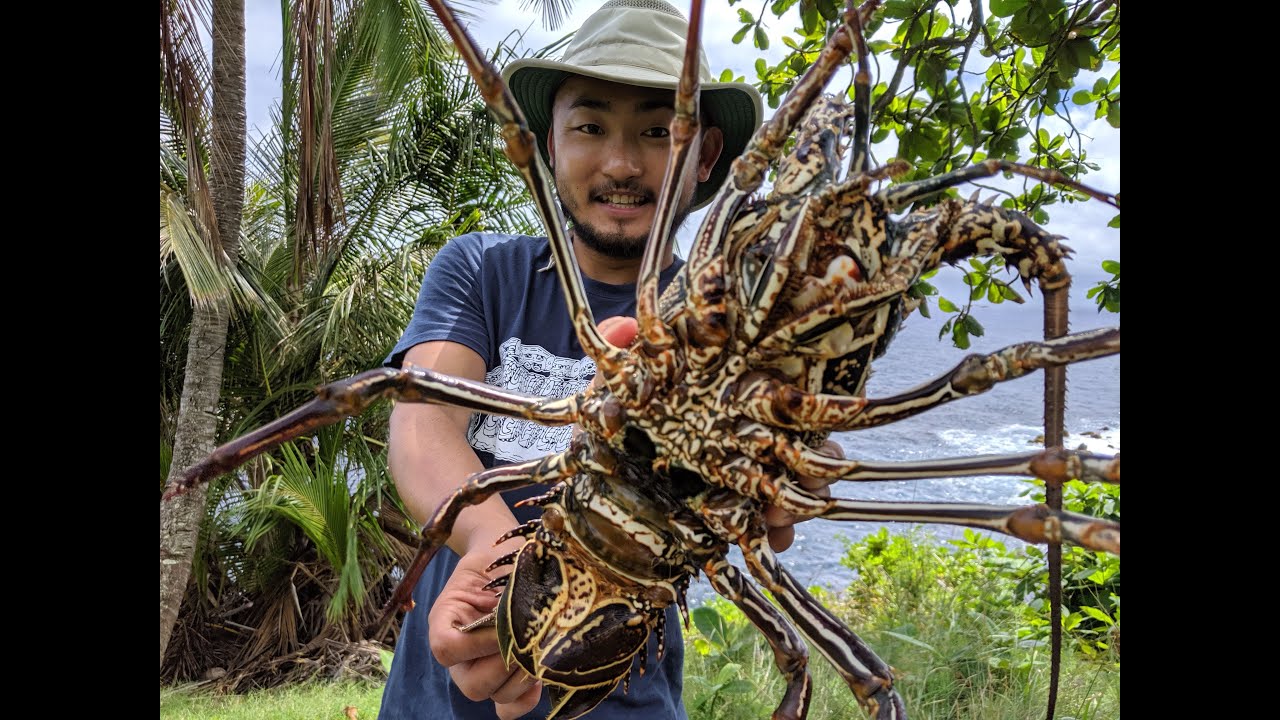 Catch And Cook Lobster Diving With Hawaii Natives!! - Youtube