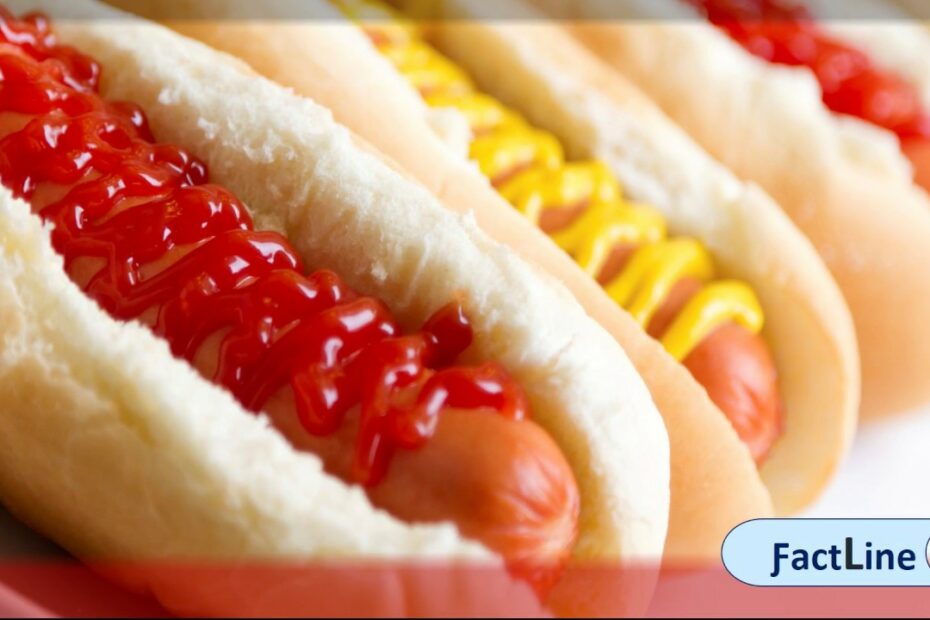 Do Hot Dogs Have Worms In Them | Ingredient Of Hamburgers Or Hotdogs -  Youtube