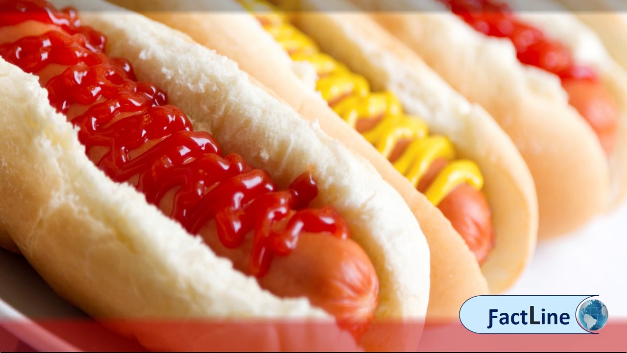 Do Hot Dogs Have Worms In Them | Ingredient Of Hamburgers Or Hotdogs -  Youtube