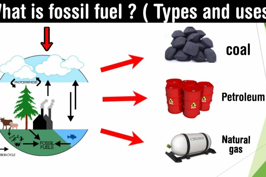 What Is Fossil Fuel | Types |Uses|Petroleum | Coal | Natural Gas | In Hindi  - Youtube