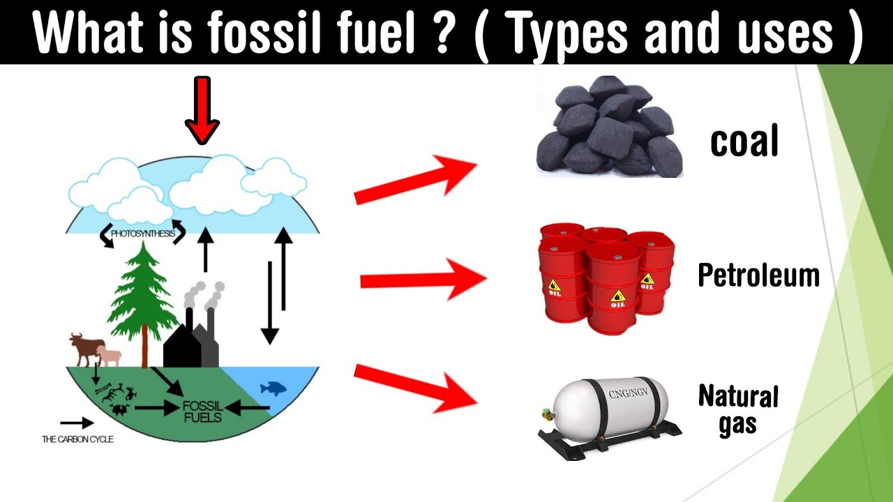 What Is Fossil Fuel | Types |Uses|Petroleum | Coal | Natural Gas | In Hindi  - Youtube