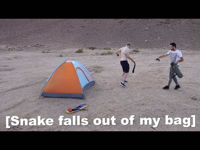 Camping Fail At Wadi Rum....Snake In My Bag! | Rs101 Daily Vlog - Youtube