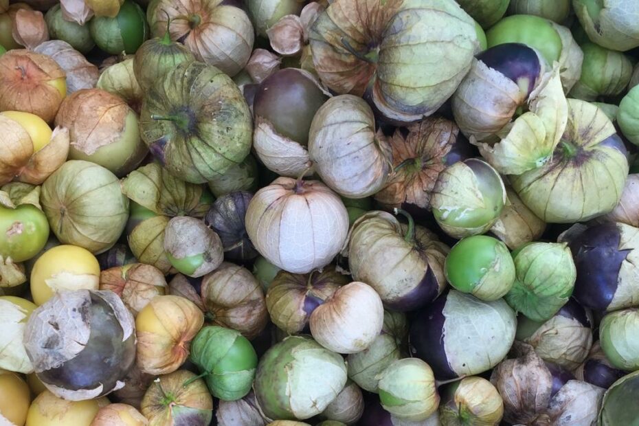 How To Use Tomatillos - Bon Appétit | Bon Appétit