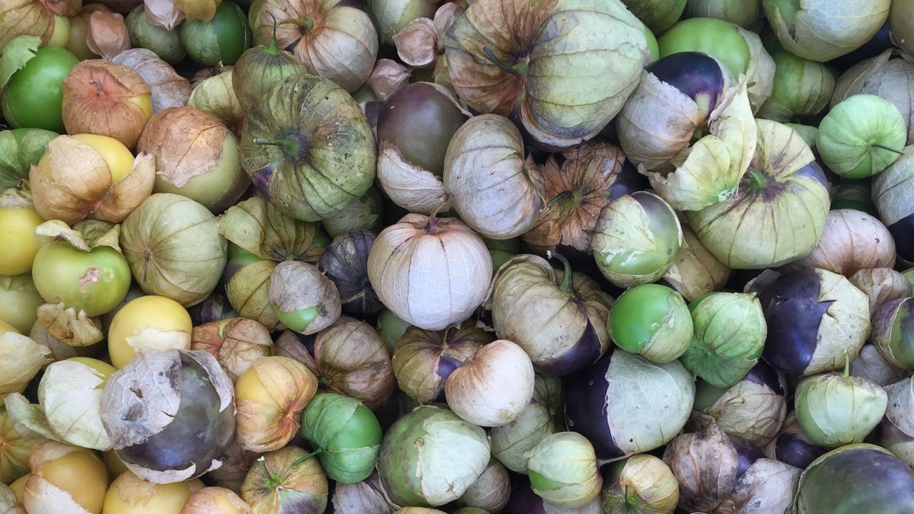 How To Use Tomatillos - Bon Appétit | Bon Appétit