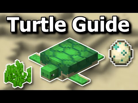 Everything You Need to Know About Turtles in Minecraft 1.20