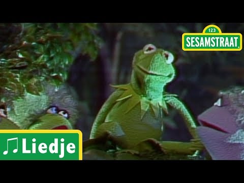 De discodans - Liedje - Kermit de Kikker - Sesamstraat