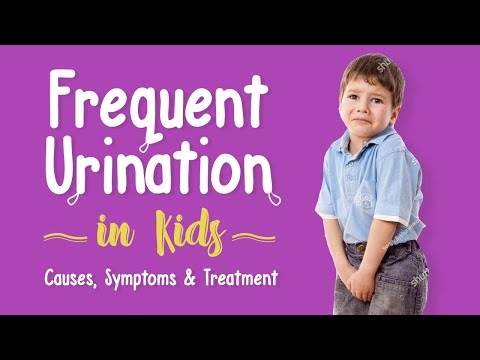 Frequent Urination in Children - Causes, Symptoms and Treatment