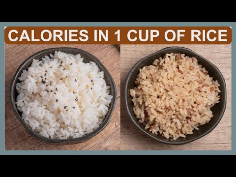 What is the number of Calories in 1 Cup of RICE?