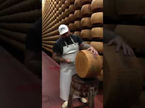 They use a small hammer to hear if the Parmigiano-Reggiano is ready.