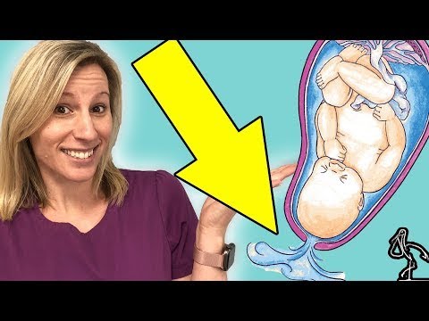 How to Tell If Your Water is Broken- Quick Tip from a Midwife | CajunStork Shorts