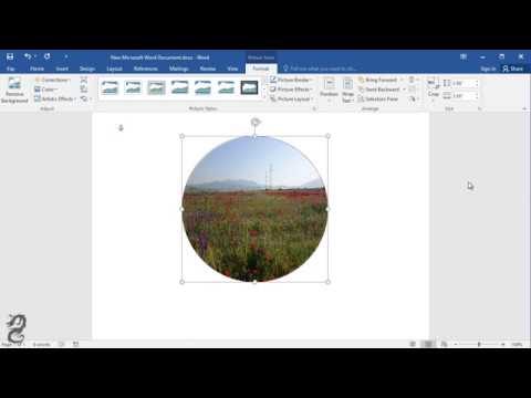 How to create circle picture in Word