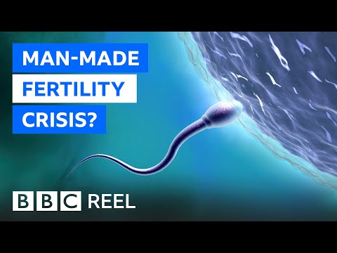 Fertility crisis: Is modern life making men infertile? - BBC REEL