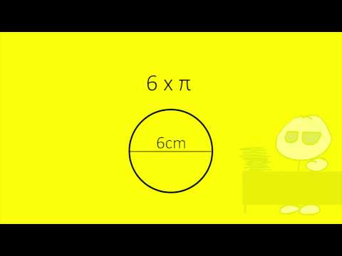 Hoe bereken je de Oppervlakte en Omtrek van een Cirkel