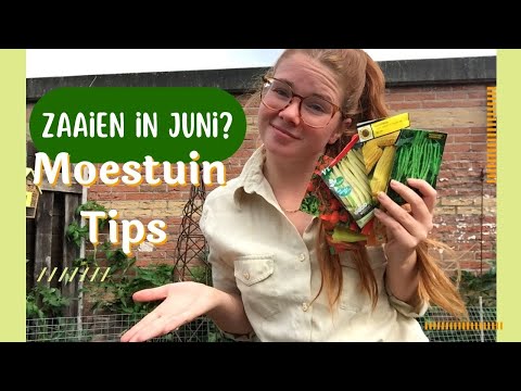 Wat kan je nog ZAAIEN IN JUNI? | Moestuin Tips | Groenten tuin