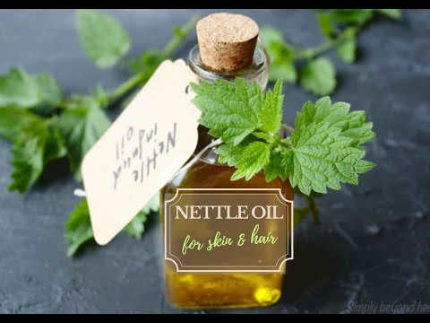 How to make Nettle oil