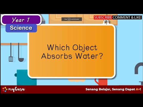 Year 1 | Science | Which Object Absorbs Water?