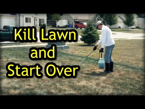 How To Kill A Lawn and Start Over - Lawn Renovation Step 1