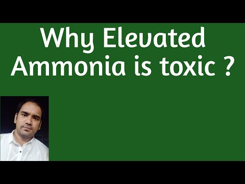Why Elevated Ammonia in blood is toxic ? : Biochemical basis for neurotoxicity