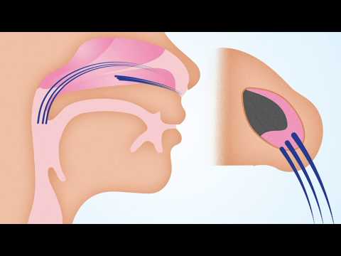 The Causes of Snoring Animation