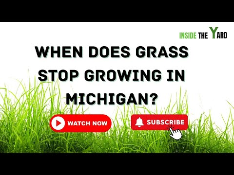 When Does Grass Stop Growing In Michigan?