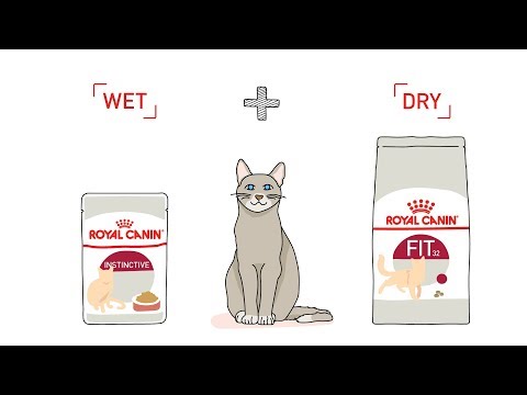 Royal Canin Mix Feeding for Cat