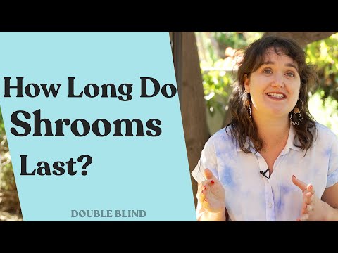 How Long Do Shrooms Last? 🍄 DoubleBlind