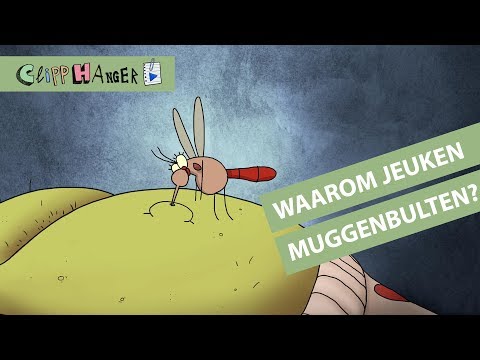 Waarom jeuken muggenbeten?