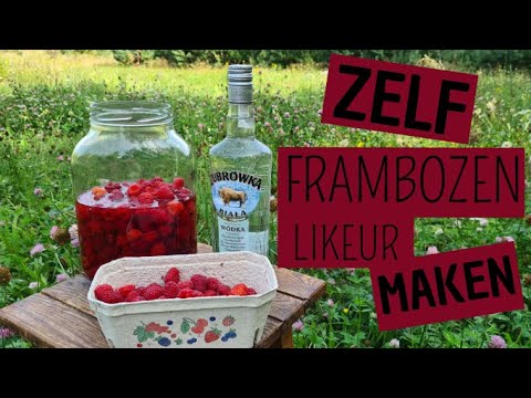 Zelf Frambozenlikeur maken| Lekker en goed voor de weerstand!