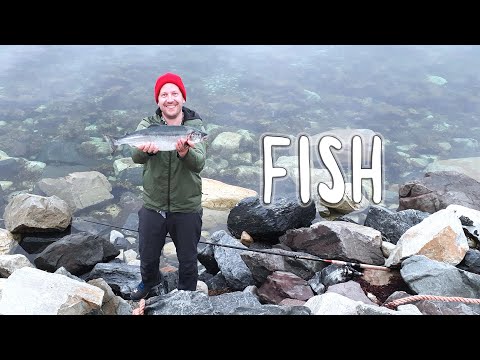 SIMPLE LIFE on a tiny budget // Fishing in Norway 🇧🇻