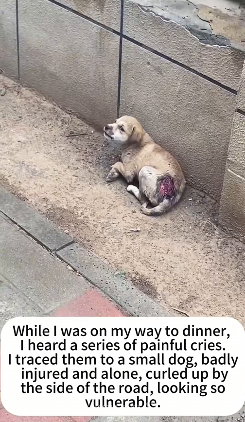 This abandoned animal was minutes away from death when we found it